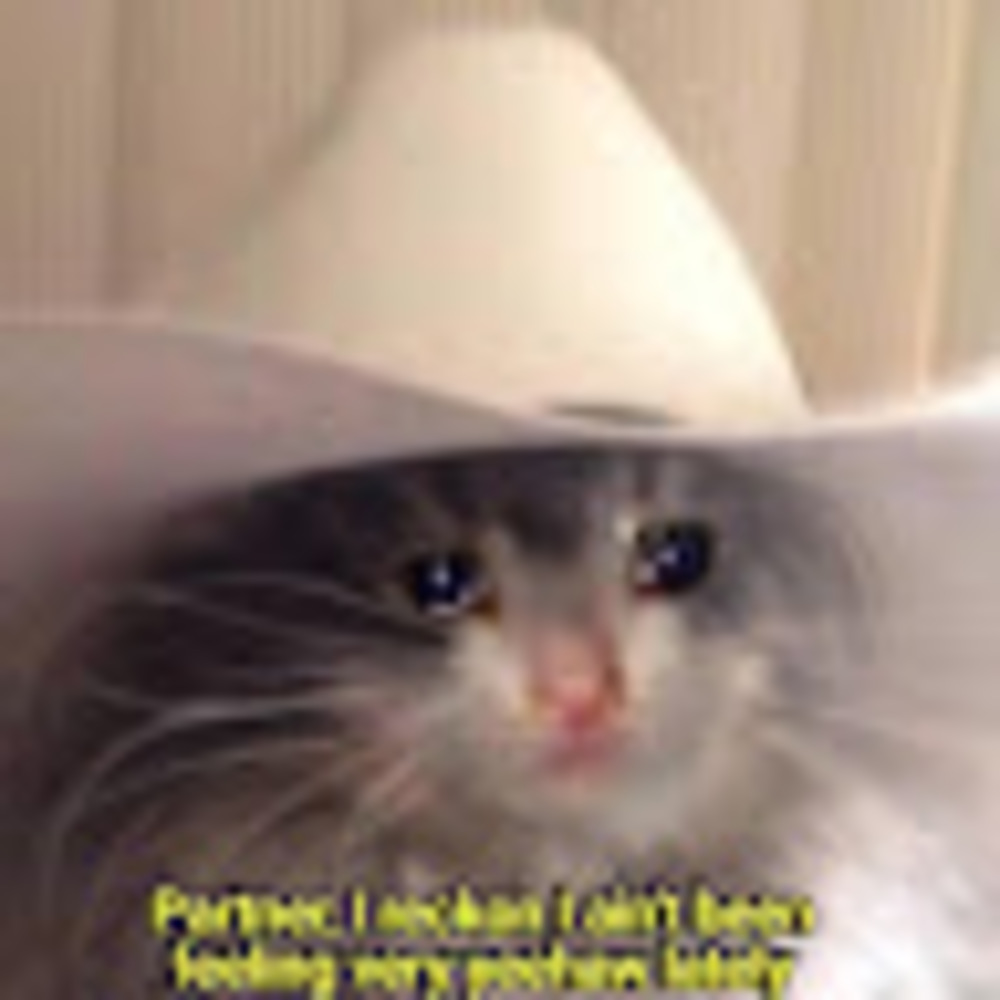 Meet your Posher, Deisy